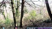 Случайный секс в парке с озорной русской девушкой Kiss Cat